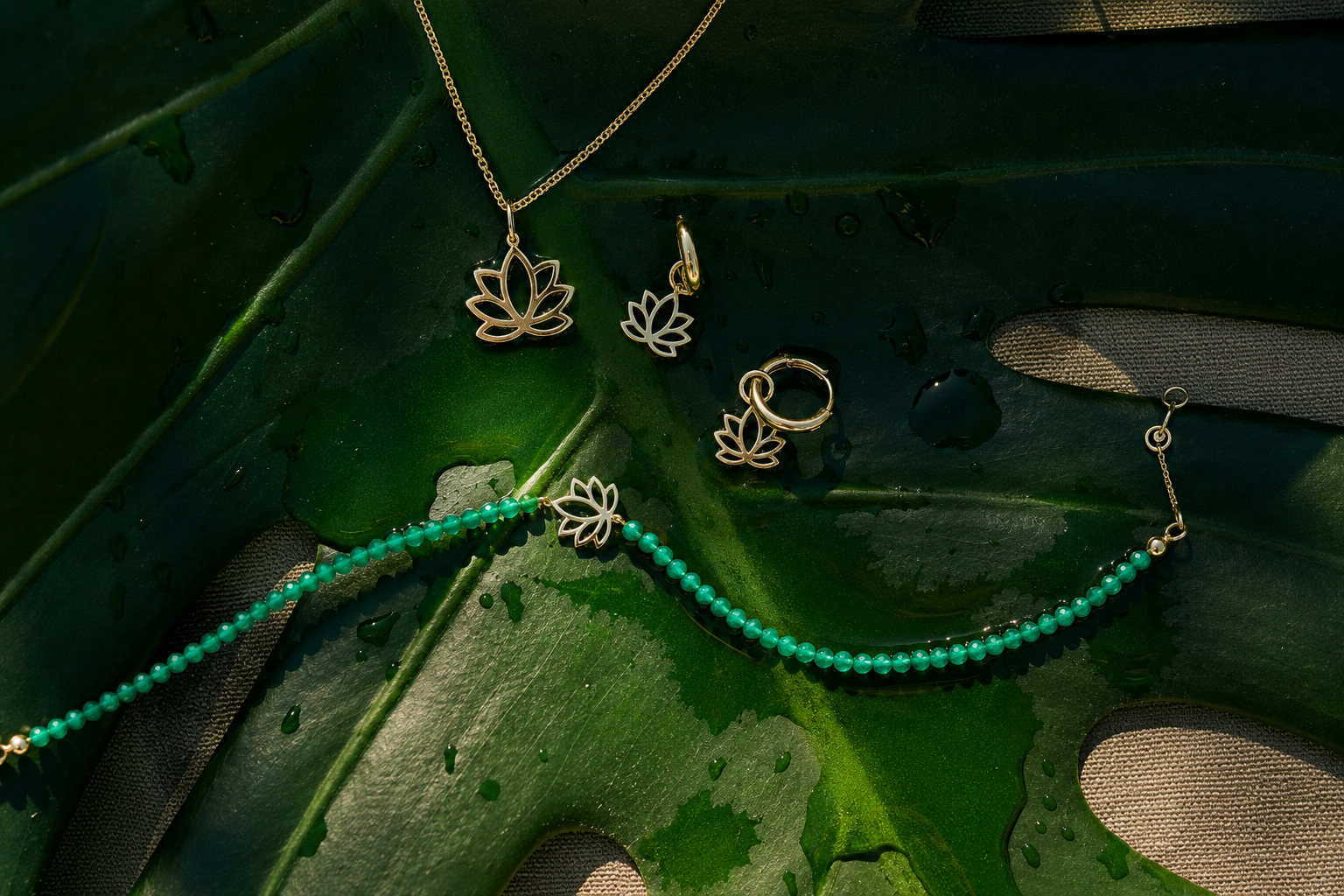 The Lotus Collection