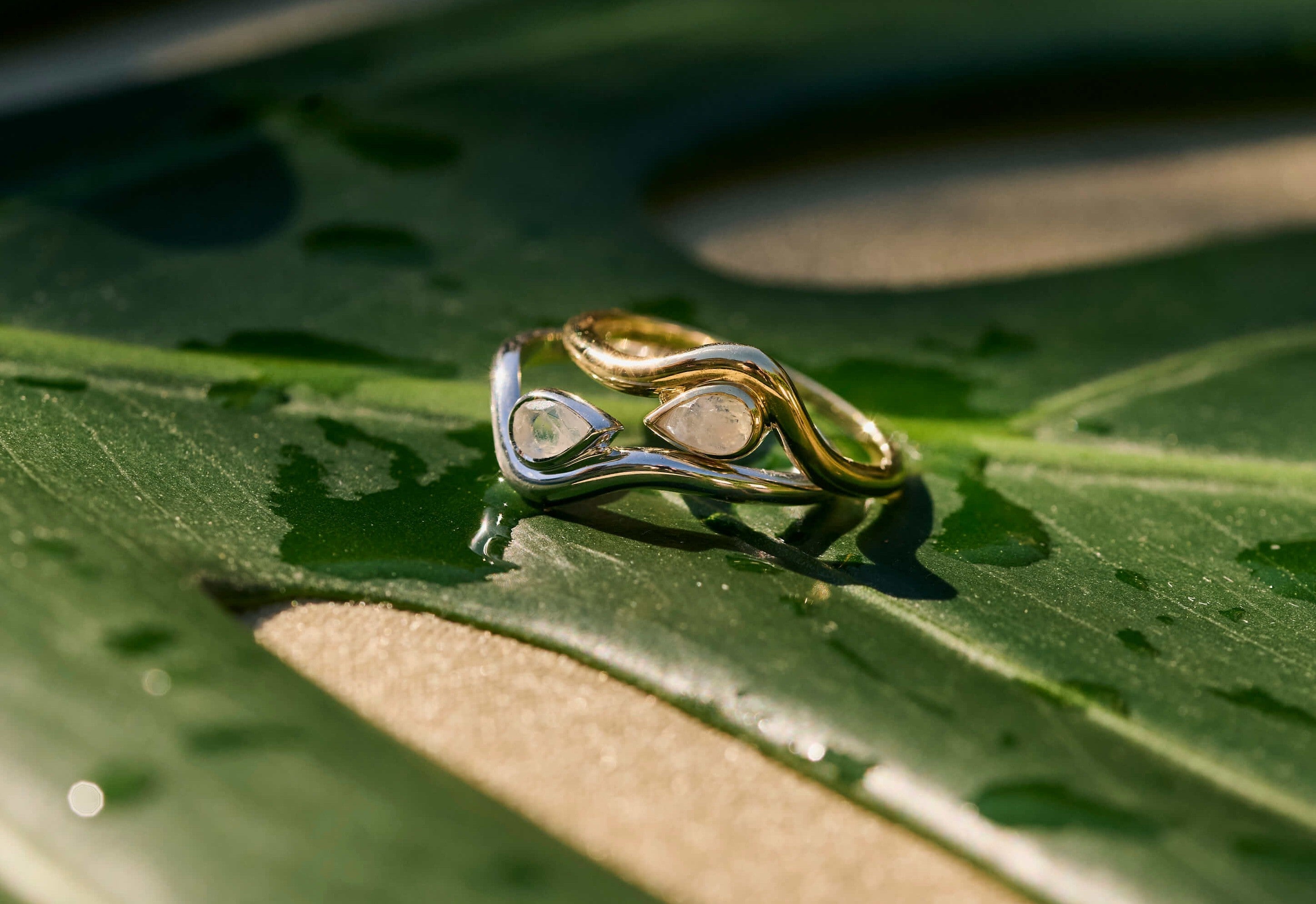Personalised Rings