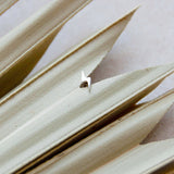 Lightning Bolt Flat Back Earring 14k White Gold Sample 5mm