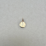 June Rose Birthflower Engraved Coin Pendant 9k Gold Sample
