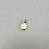 June Rose Birthflower Engraved Coin Pendant 9k Gold Sample