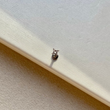 Four Point Diamond Flat Back Earring 14k White Gold Sample