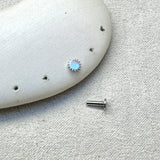 Sun Flat Back Earring 14k White Gold Sample