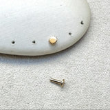 Sun Flat Back Earring 9k Gold Sample