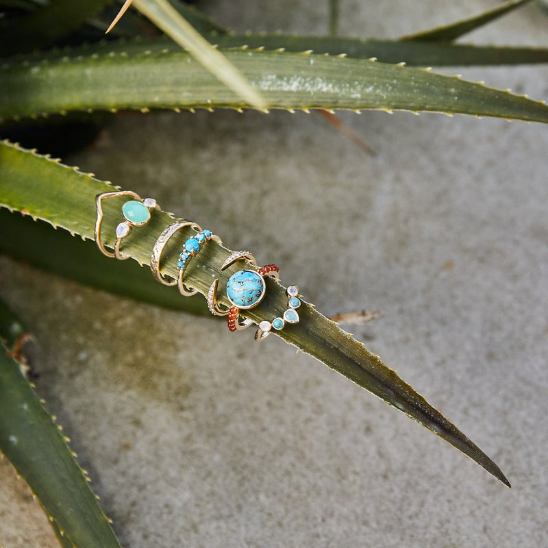 solid gold rings displayed on a cactus including the Chrysoprase & Moonstone Ring 9k Gold