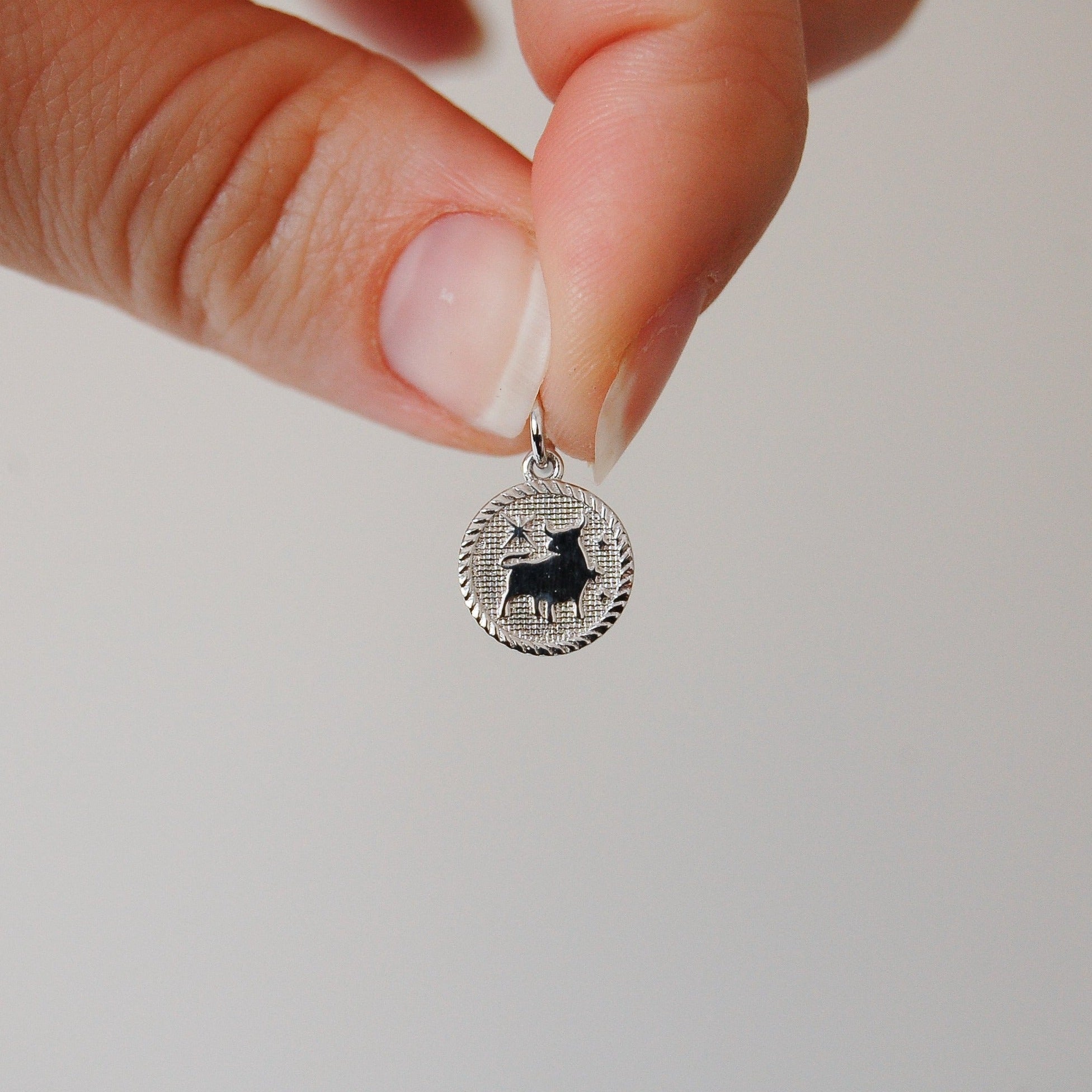 Zodiac Coin Pendant Sterling Silver