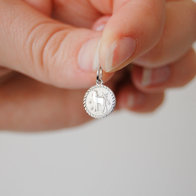 Zodiac Coin Necklace Sterling Silver