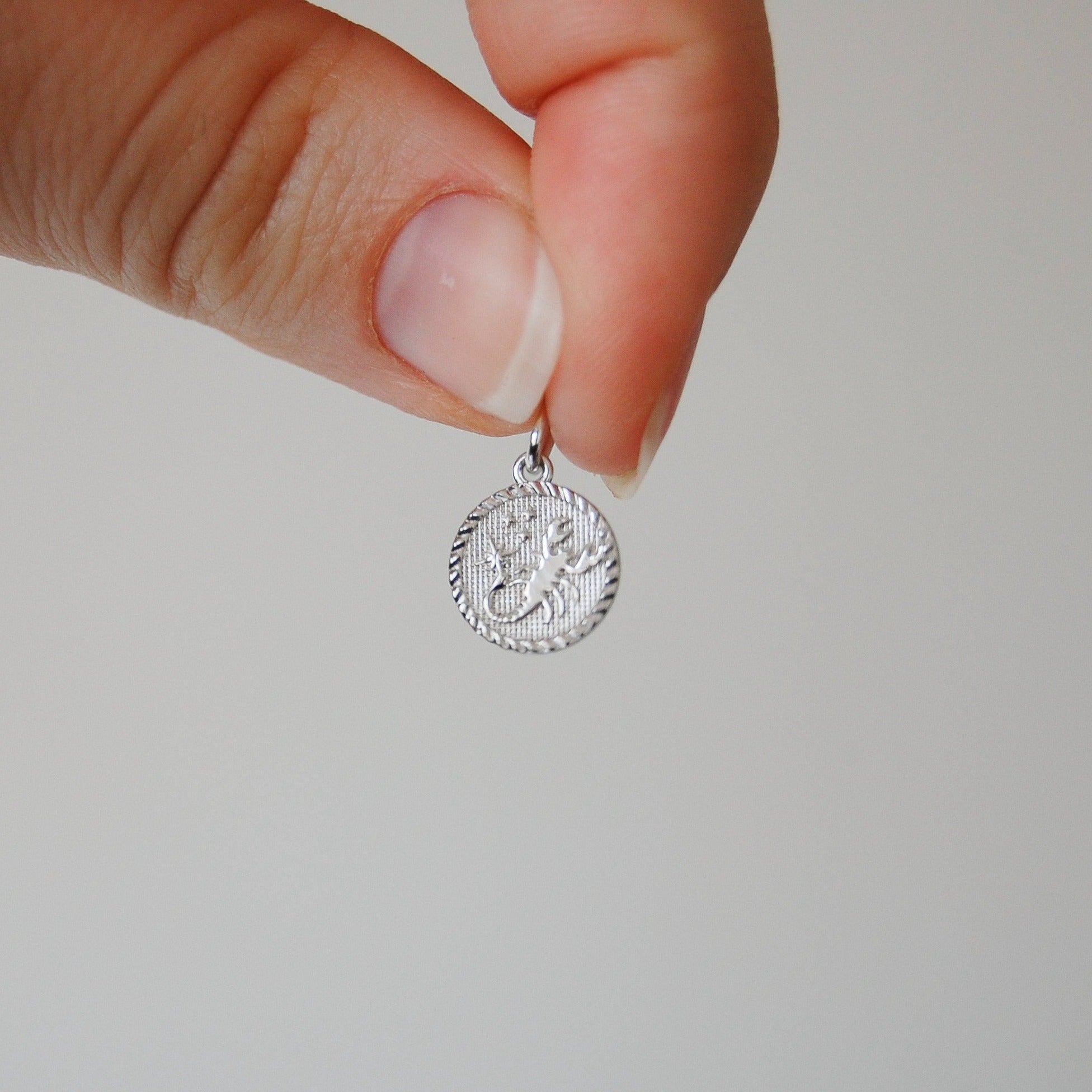 Zodiac Coin Necklace Sterling Silver